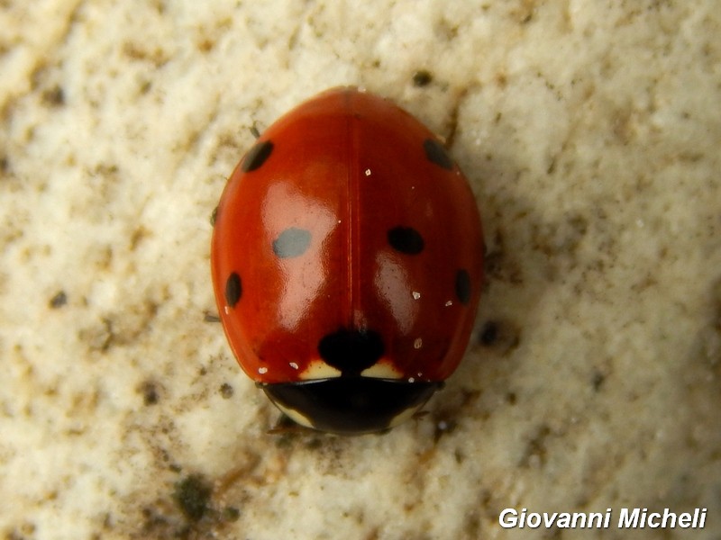 Parco del Ticino 17-10-15